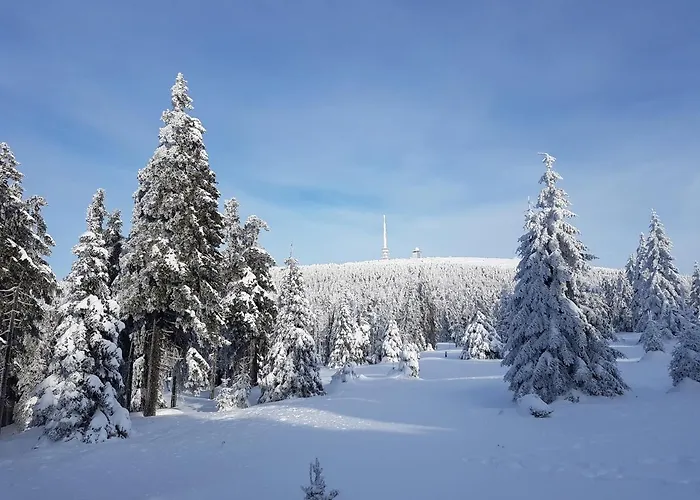 Дом отдыха Blockhaus - Zwergenbaude - Браунлаге